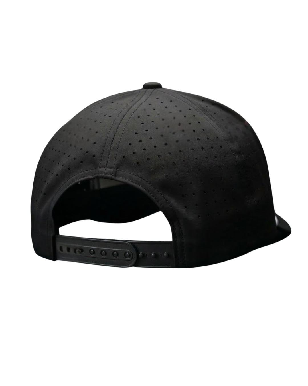 Blackbird - Snapback