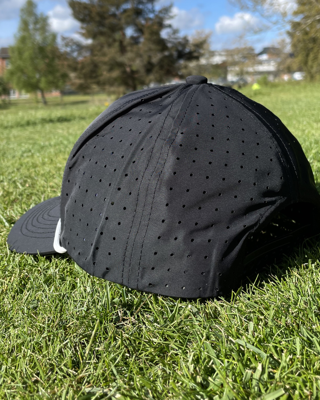 Blackbird - Snapback