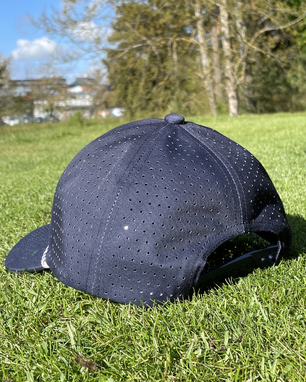 Vivid Peak - Snapback